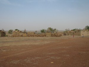 IMG_6693