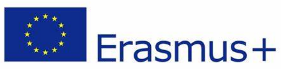 Logo Erasmus